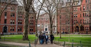 Top Universities in the World: Global Ranking 2025