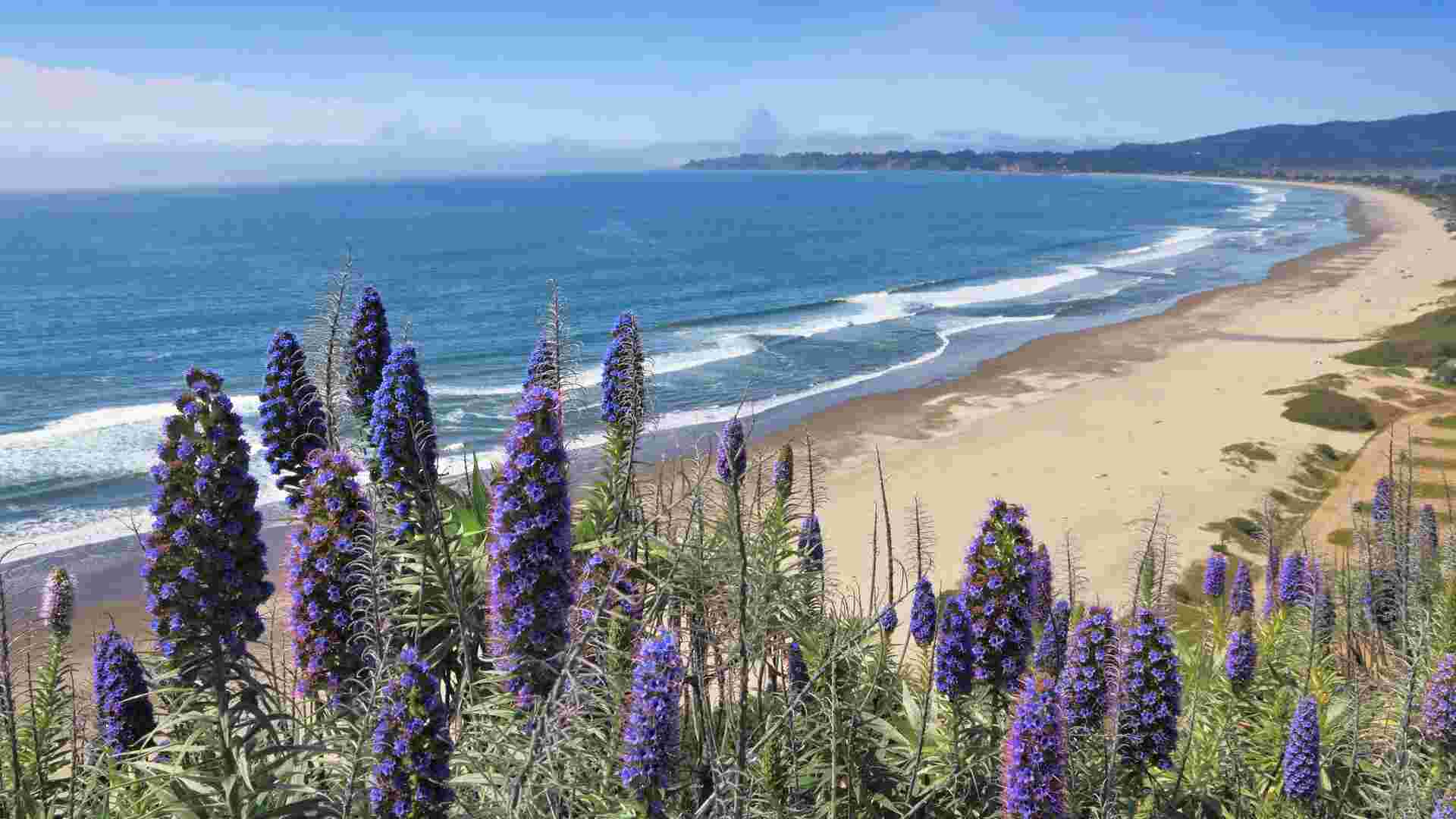 Top Travel Destinations in California: Explore the Golden State